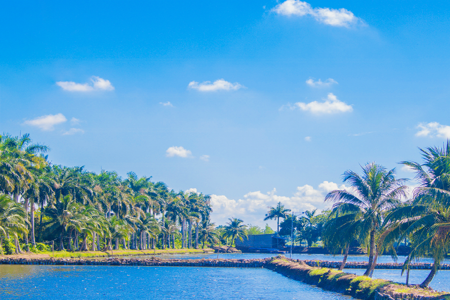 CẦN THƠ CITY TOUR -  1 NGÀY - HDG1NCT1- 17.06.2023 color