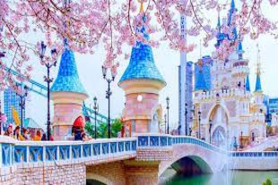 CHƯƠNG TRÌNH TRƯỢT TUYẾT SEOUL – NAMI – LOTTE WORLD -5 NGÀY 4 ĐÊM - HO5DHQDOL02 color