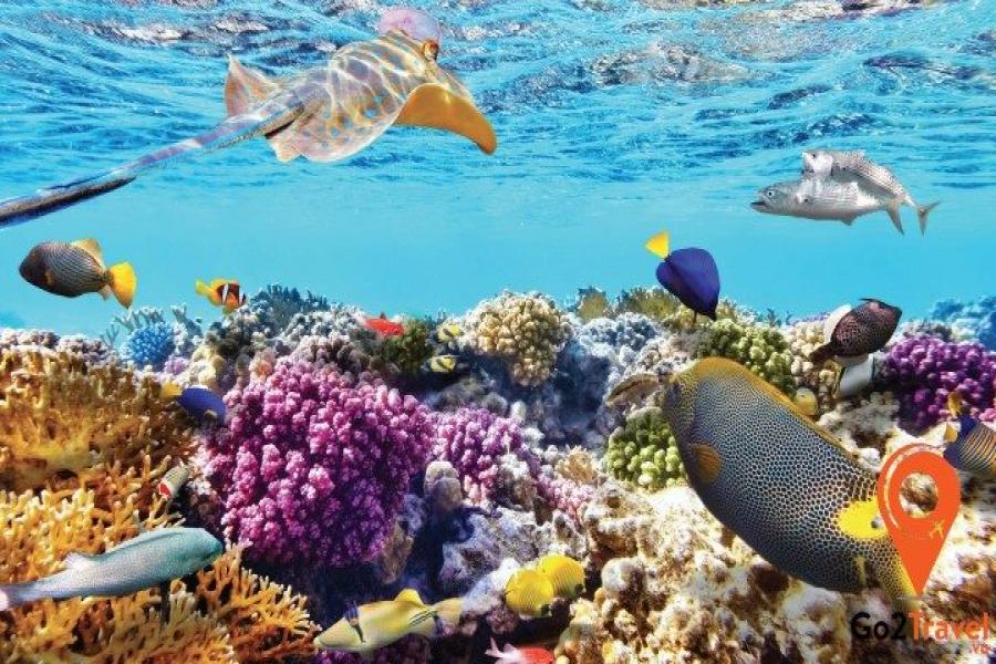 HÀNH TRÌNH KHÁM PHÁ  BANGKOK – PATTAYA - 5 NGÀY 4 ĐÊM - HO5DTLVA1 color