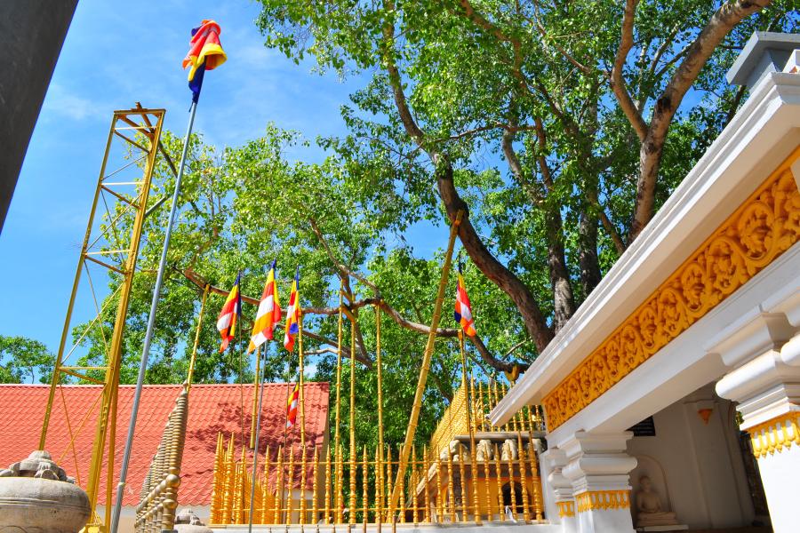 HÀNH TRÌNH KHÁM PHÁ SRI LANKA – HÒN NGỌC ẤN ĐỘ DƯƠNG - 5 NGÀY 4 ĐÊM - HO5DSLK01 color