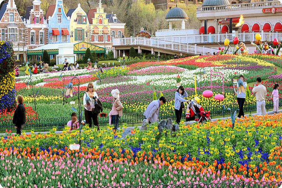 CHƯƠNG TRÌNH TRƯỢT TUYẾT SEOUL – NAMI – LOTTE WORLD -5 NGÀY 4 ĐÊM - HO5DHQDOL02 color