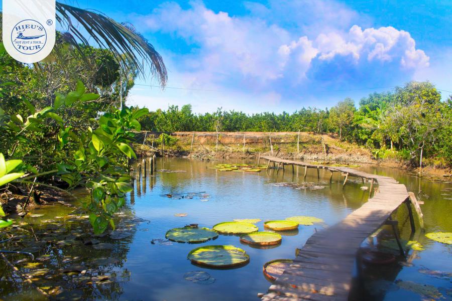 TRẢI NGHIỆM CỒN SƠN  - HDG0NCT2 -  Thời Gian: 6 tiếng  Cần Thơ