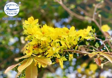 Ngày Tết Cổ truyền - Nét Văn Truyền Thống Của Dân Tộc Việt